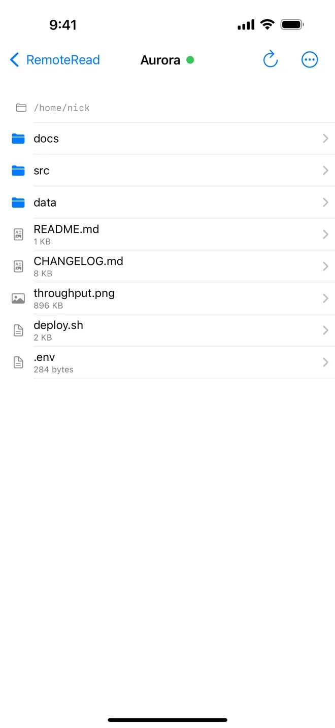 RemoteRead showing folders and files on a remote server